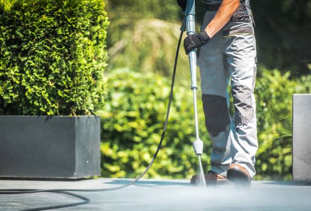 Best Warehouse Cleaning  in Dwight, IL