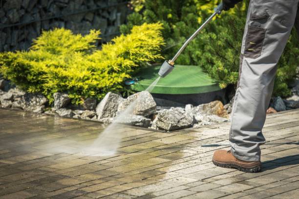 Best Winterizing Services  in Dwight, IL