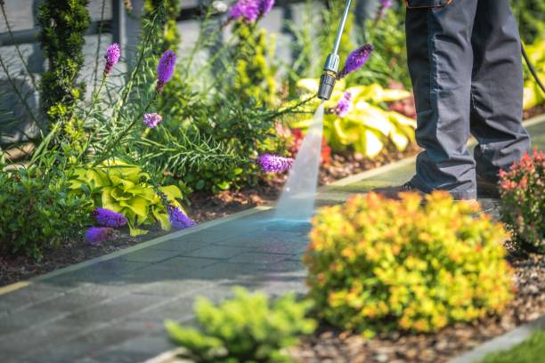 Reliable Dwight, IL Pressure Washing Solutions